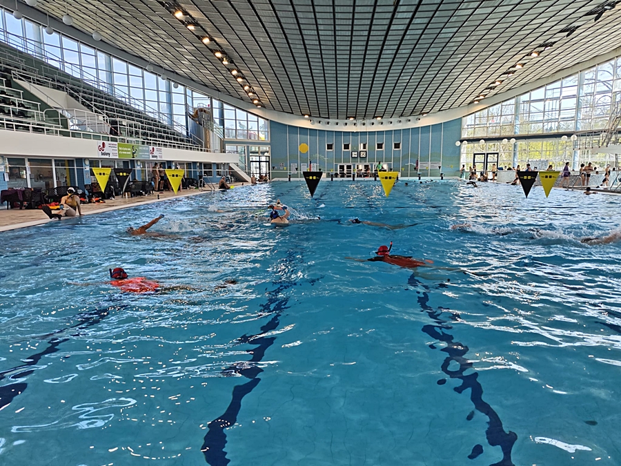 Hokej pod wodą Walenie Czeskie Budziejowice Bud Pig Cup 2026